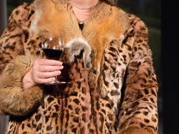 ndx9373.jpg